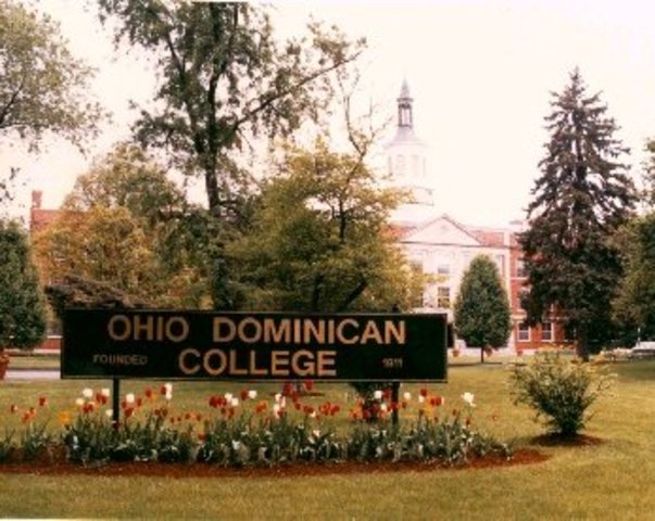 Graduated Undergraduate from Ohio Dominican University