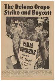 Delano Table Grape Movement/Strike