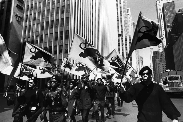 Black Panther Party