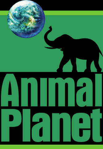 Inteligencia naturalista (2009-2012)