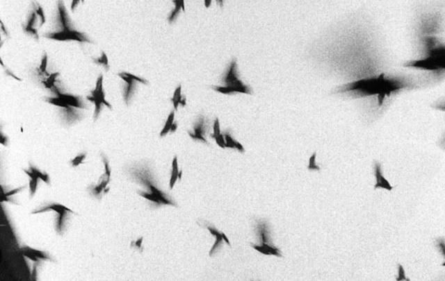 Gustavo Adolfo Bécquer, Rima LIII ("Volverán las oscuras golondrinas")