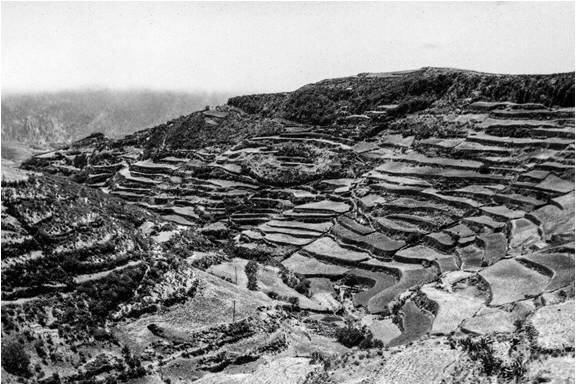 Terciarización de la economía canaria