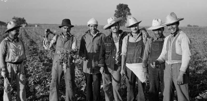 Agricultural Adjustment Administration