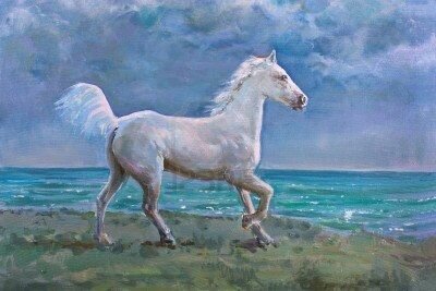 Mi caballo mago