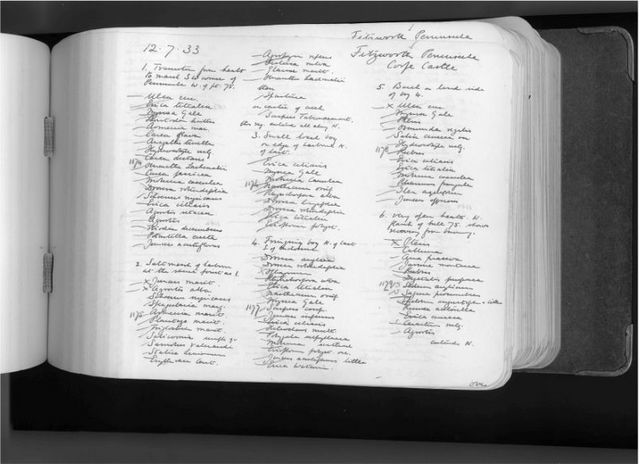 MEDIA LISTS COMPLETED