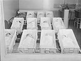 Baby Boom