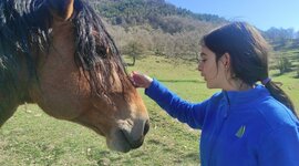 Timeline: La meva linia del tems