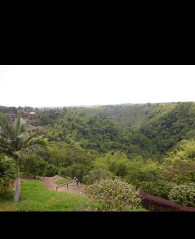 Amando la naturaleza