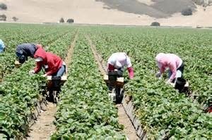 Tomás Rivera,...y no se lo tragó la tierra (dos capítulos: "...y no se lo tragó la tierra" y  "La noche buena")