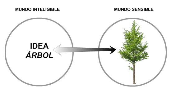 Teoría de las Ideas y el mundo sensible