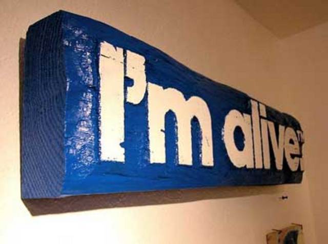 NEW WEBSITE GOES LIVE