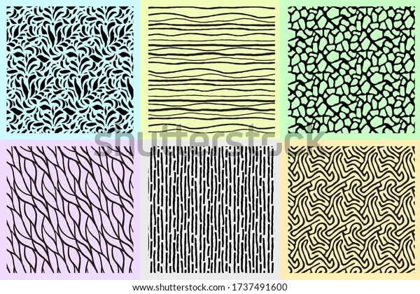 Patrones biológicos