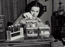 El sistema de comunicació secreta.