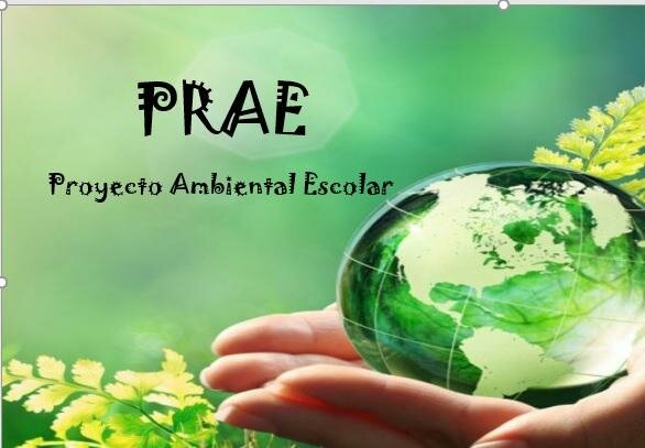 CONEXION CON EL MEDIO AMBIENTE