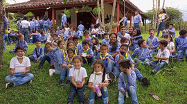 Timeline: PRÁCTICAS PEDAGÓGICAS