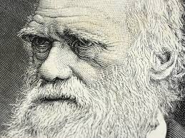 “The Expression of the Emotions in Man and Animals”