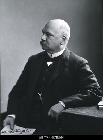 SECUENCIAS IMPORTANTES (1era PARTE)