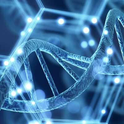 Timeline: La Genética a través del Tiempo - Katia Medina