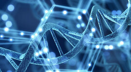 Timeline: La Genética a través del Tiempo - Katia Medina