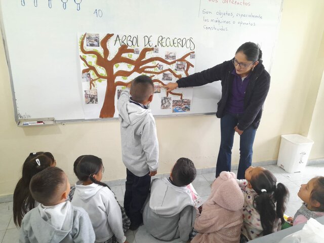 Practica pedagógica IV