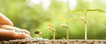 Crecimiento personal