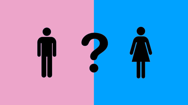 The Sunday Sentinel(1914)