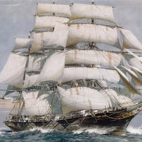 Survey Voyage HMS Beagle