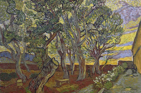 Garden of the Asylum