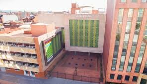 Tiitulo como profecional (visual espacial)