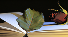 Timeline: Épocas de la literatura.