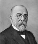 Koch