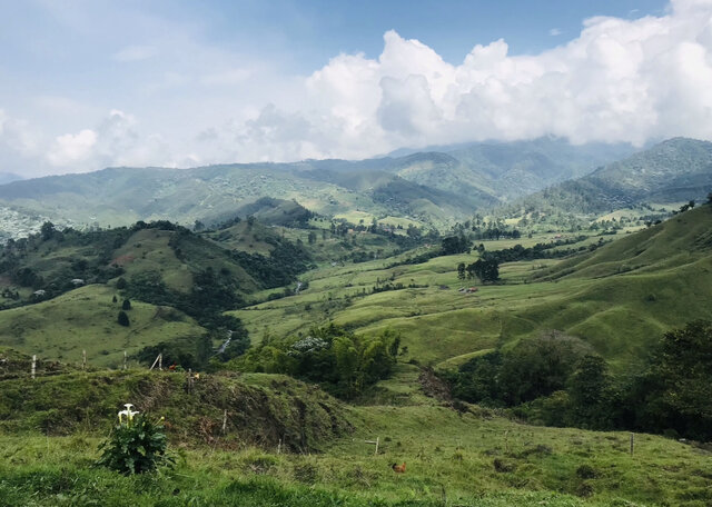 Inteligencia naturalista-pictórica