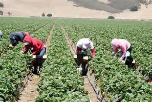 y no se lo trago y la noche buena por Tómas Rovera