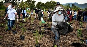 Tecnólogo en organización de archivos