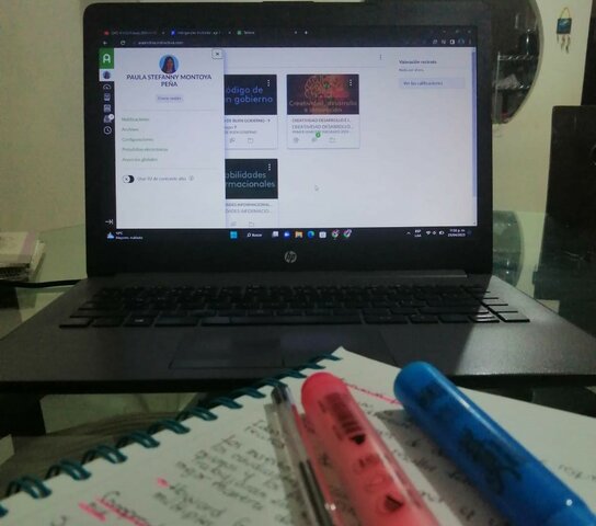 Ingresar a estudiar una carrera profesional