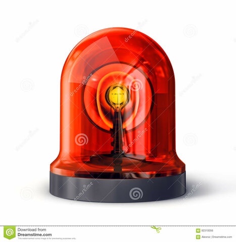 Επικράτηση του κόμματος ''Ελληνικός Συναγερμός''