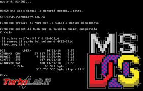 Immissione sul mercato del MS-DOS da parte di microsoft