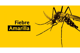 Vacuna contra fiebre amarilla: 1932.