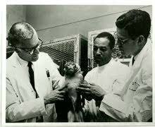 Vacuna contra la rubeola: 1969.