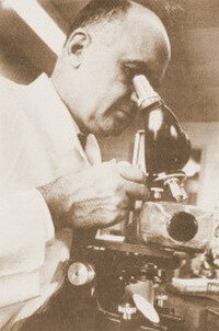 Vacuna contra el neumococo: 1977.