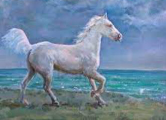 Mi Caballo Mago