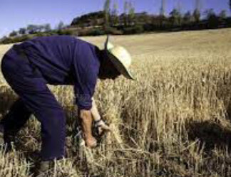 …y no se lo tragó la tierra