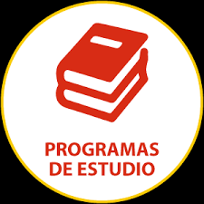Simplificación de programas de estudio