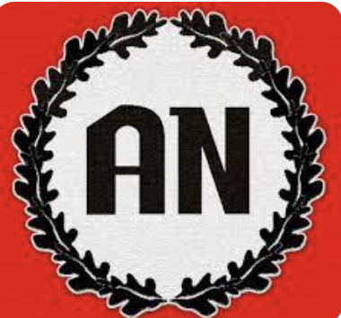 Aliança Nacional de Forces Democràtiques