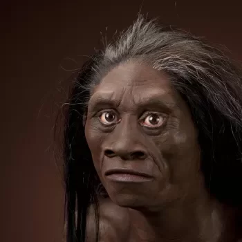 Homo floresiensis