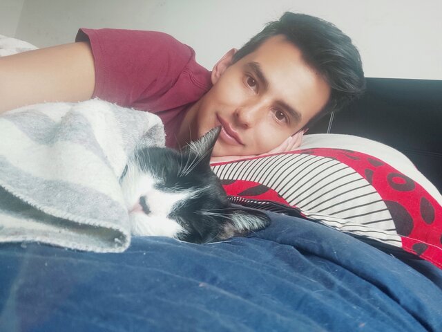 El Loco de Los Gatos