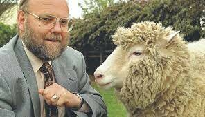 La Oveja Dolly