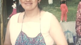 Timeline: Introspección