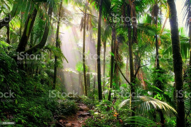 My first book (or at least the first one I remember)