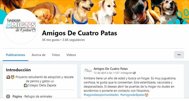 Inteligencia naturalista